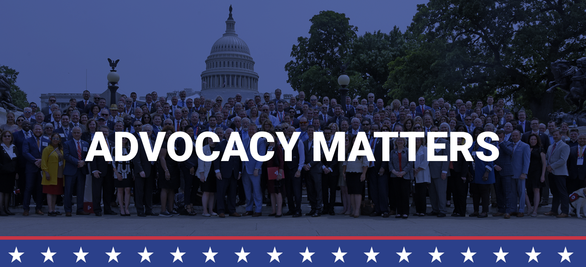 Screenshot 2026-02-19 at 7.50.00 PM